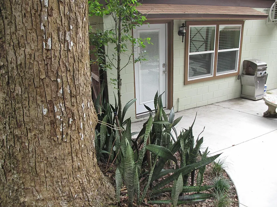 221 Old Eustis Rd