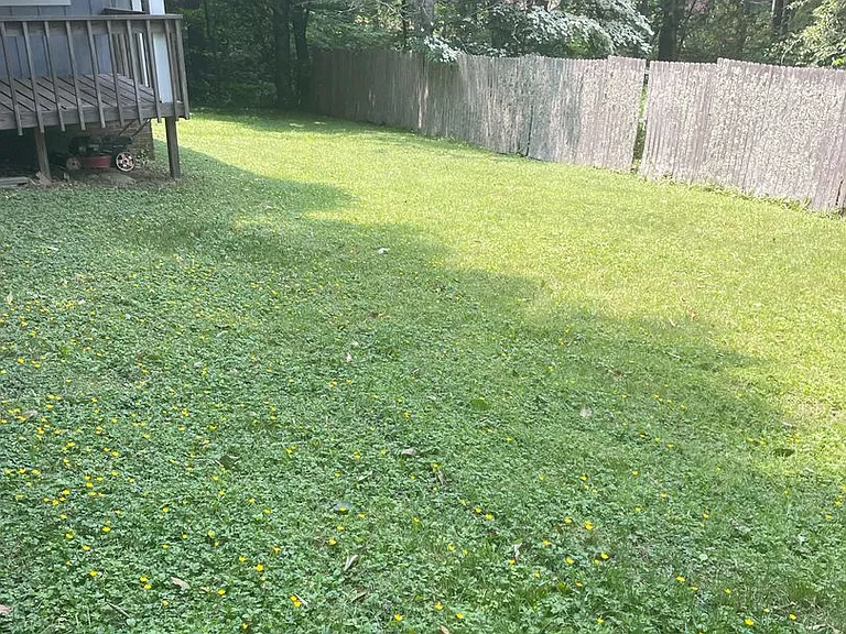 1130 Stoney Brook Ln — Photo 23