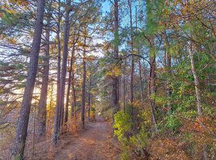 County Road 2920, Hughes Springs, TX 75656