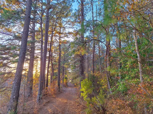 County Road 2920, Hughes Springs, TX 75656