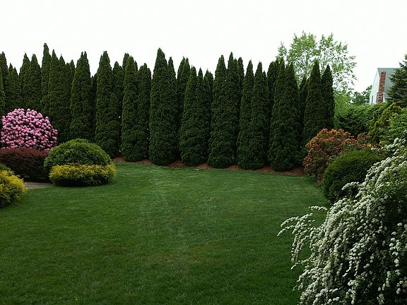 5th image of 15 E Bay Ln