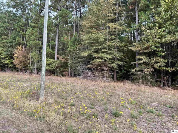 0 Edgewood Cir, Farmerville, LA 71241