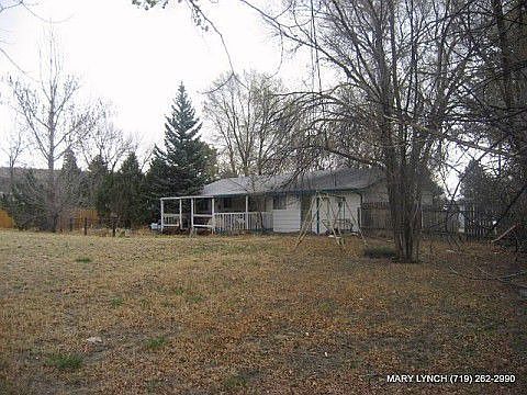 Tall mature trees on lot