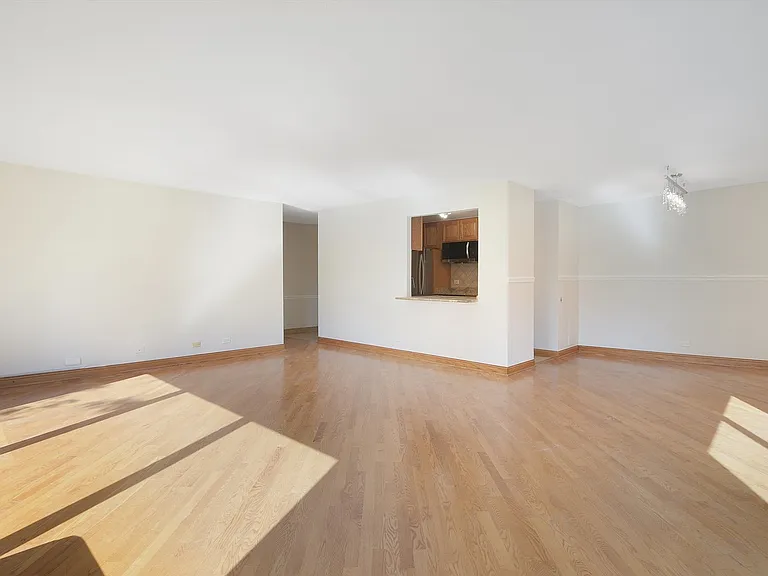 1169 S Plymouth Ct #301 — Photo 4