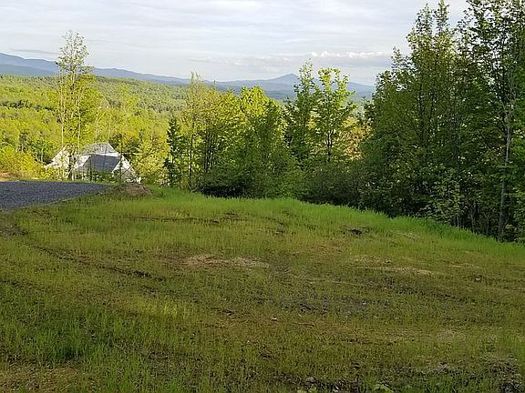 lot 5