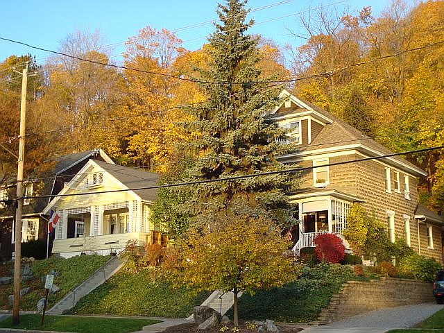 Lots of Fall color 
