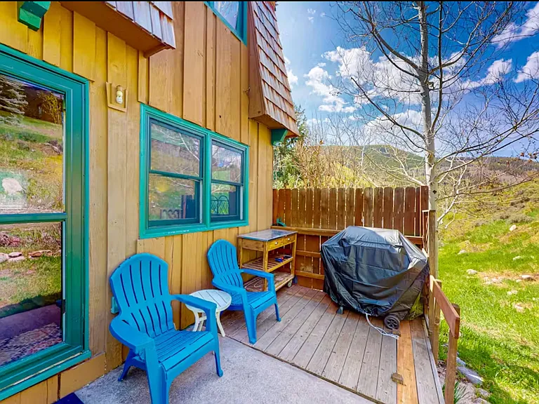 Outdoor Back patio w/ Grill