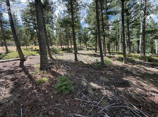 167 Big Bear Rd, Manitou Springs, CO 80829