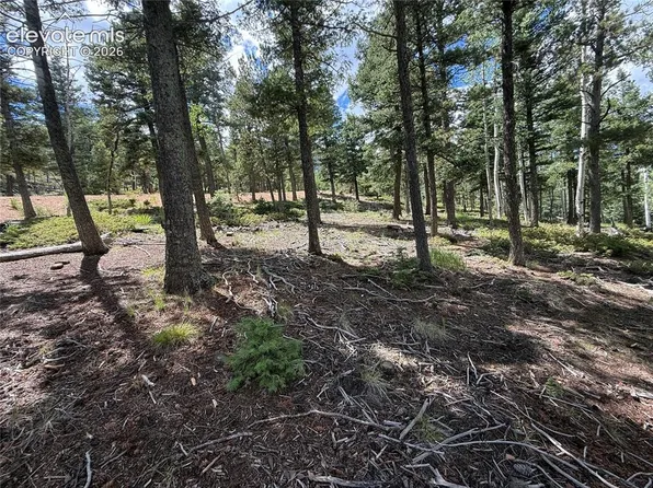 167 Big Bear Rd, Manitou Springs, CO 80829