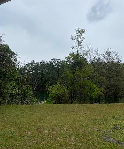 606 Old Orangeburg Rd — Photo 5