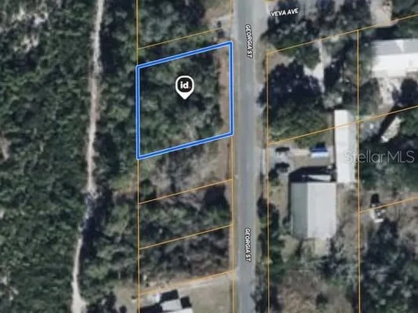 15-17-28-0200-00 Georgia St Lot 1, Paisley, FL 32767