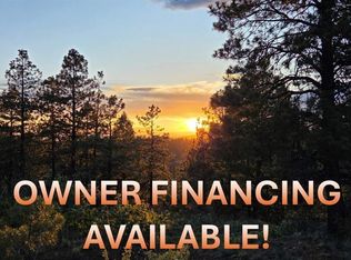 157 Carey's Court, Pagosa Springs, CO 81147