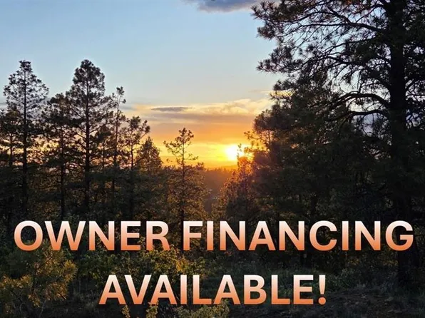 157 Carey's Court, Pagosa Springs, CO 81147