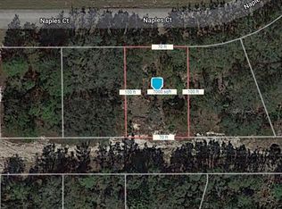 433 Naples Ct, Poinciana, FL 34759