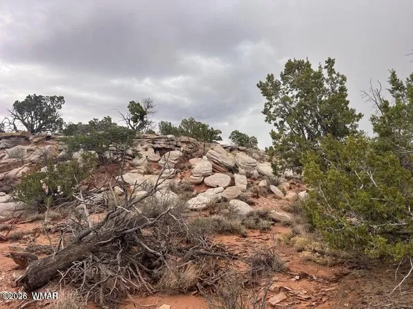 9133 Ridge View Ln, Snowflake, AZ 85937