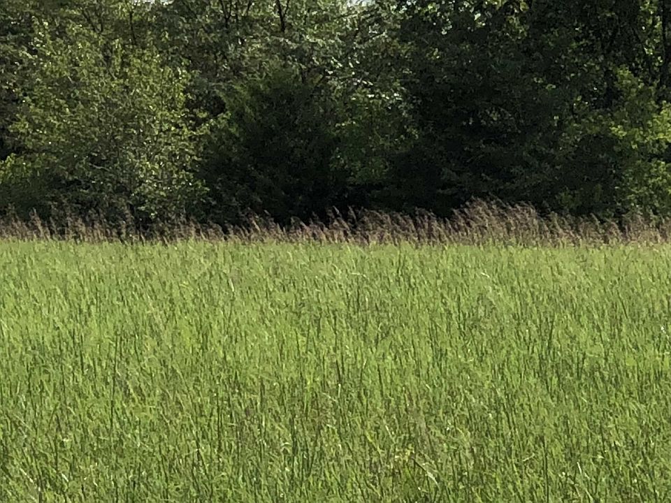 2nd image of 10650 N Farm Road 141