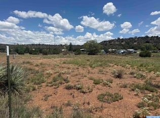 Tiger Lode, Silver City, NM 88061