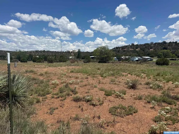 Tiger Lode, Silver City, NM 88061