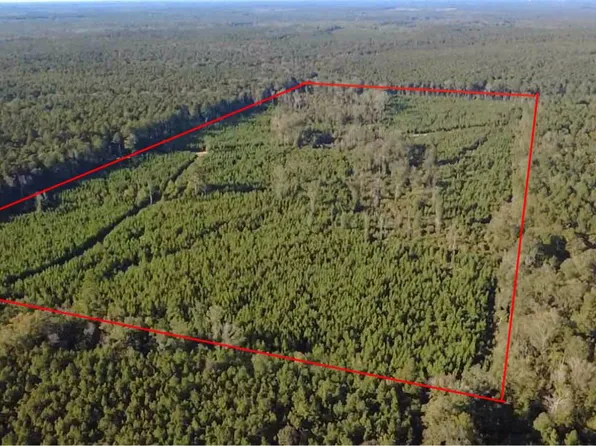 0 Packton Alexandria Rd, Winnfield, LA 71483