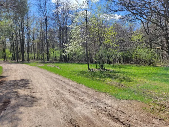 24228 Miami Ave, Grand Junction, MI 49056