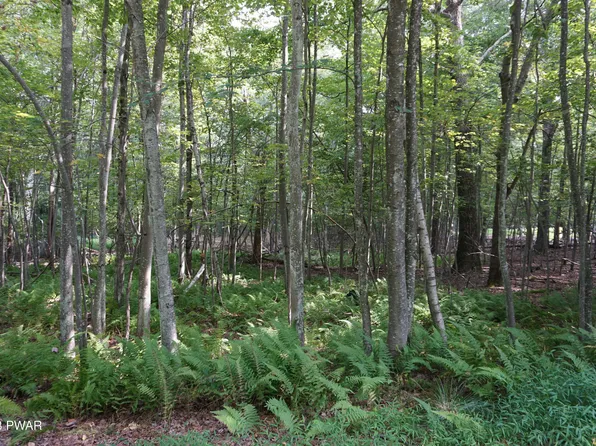 124 Morgan Ct, Milford, PA 18337