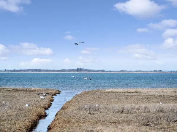 31 Harbor Rd, Amagansett, NY 11930