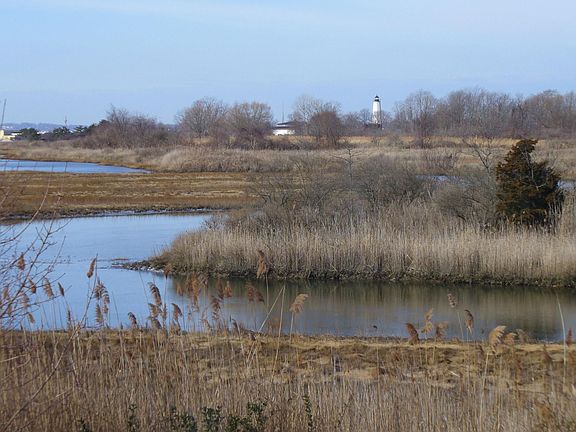 view from back off house