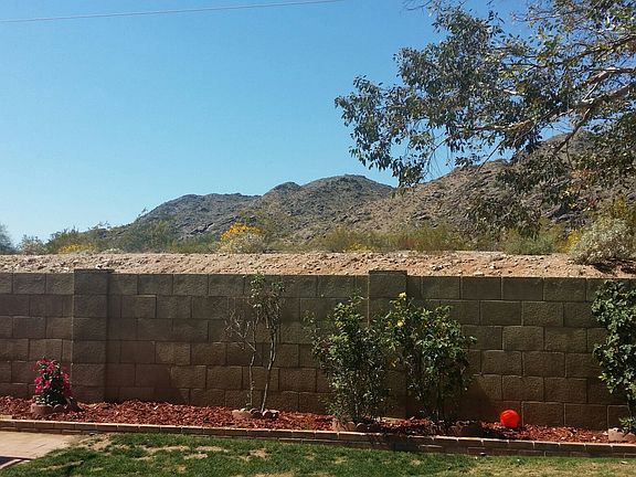 Backyard View