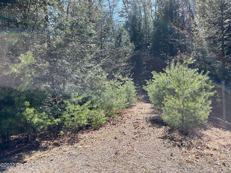 3rd image of 0 ECHO LANE Road