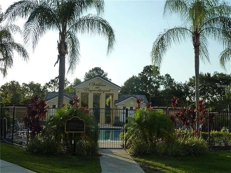 1st image of 4005 Carrollwood Palm Ct