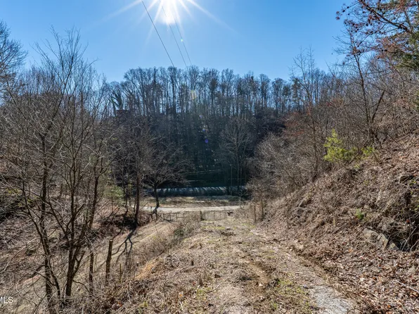 Old Carden Hollow Rd, Bristol, TN 37620
