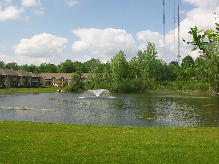 Forest Ridge — Photo 15