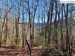 Elk Creek Darby Rd, Ferguson, NC 28624