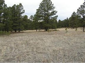 1st image of 34357 Forest Park Dr