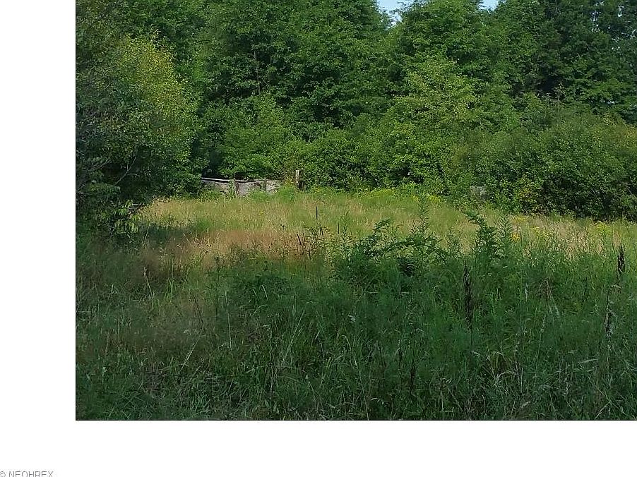 2nd image of 10533 Plank Rd