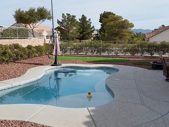 Back Yard Pool