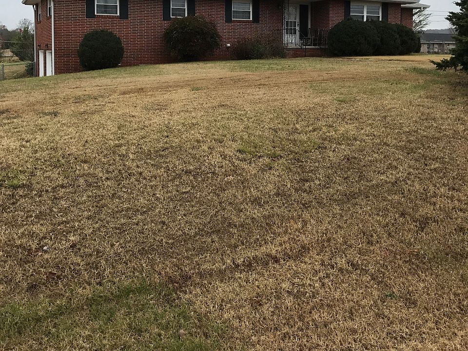 1st image of 90 Japonica St