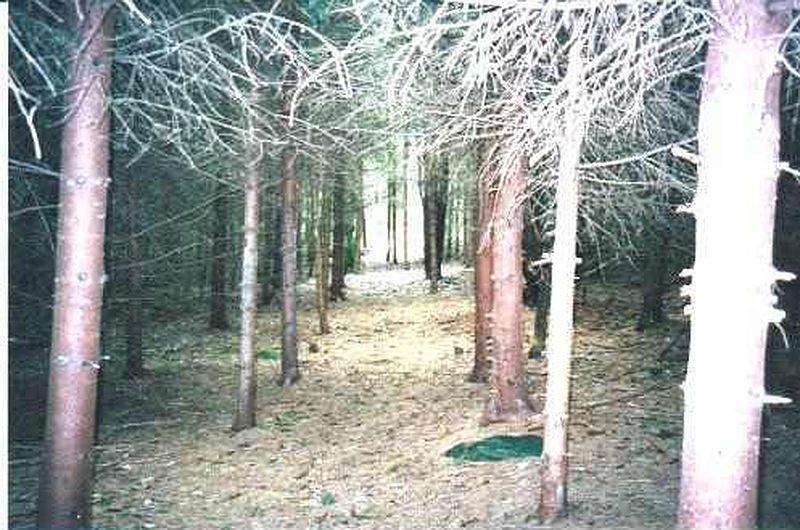 4th image of 496 TINKLEY HOLLOW Road