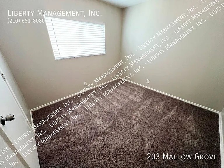 203 Mallow Grv — Photo 20