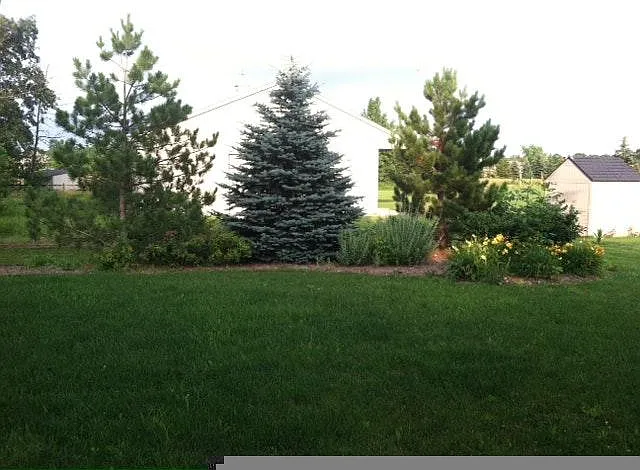 Nice Back Yard