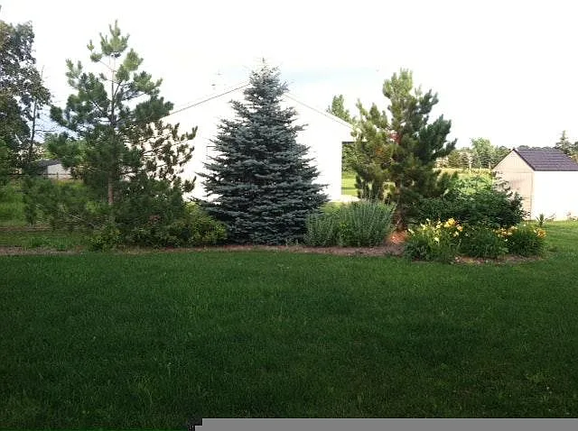Nice Back Yard - 9475 Pere Marquette Dr