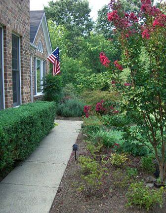 Front Walkway