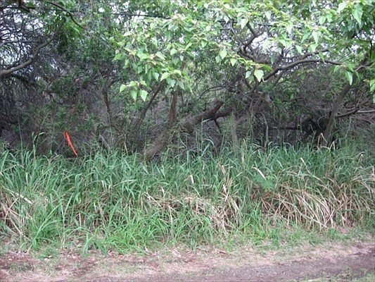 3rd image of LOT 2 Lot 2