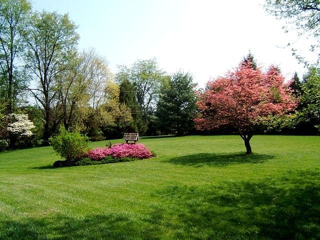 Front yard
