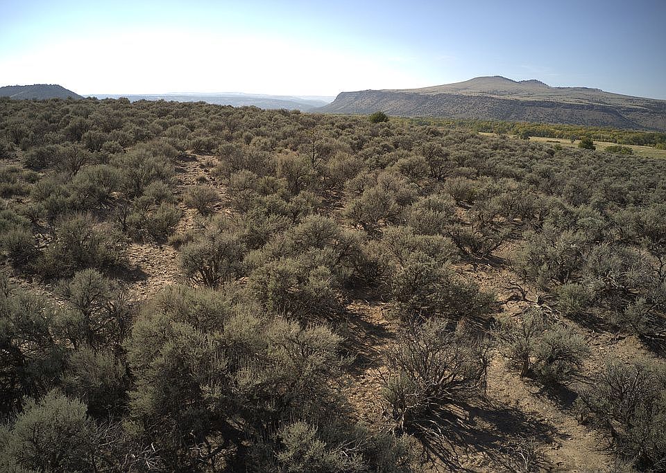 1st image of County Road 9