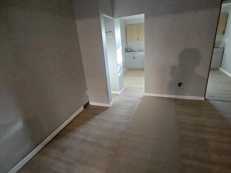 118 Redlyn St — Photo 5