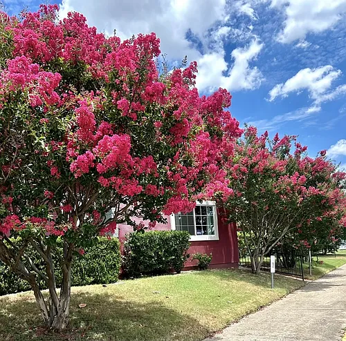 5901 S Calloway Dr #1 Photo 1 5901 S Calloway Dr #1 Photo 1