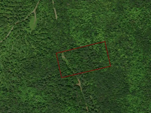 TBD Budge Farm Road, Springfield, ME 04487