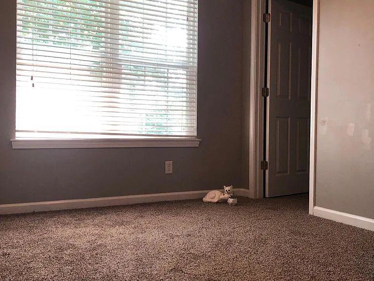 103 Old Mill Dr — Photo 26