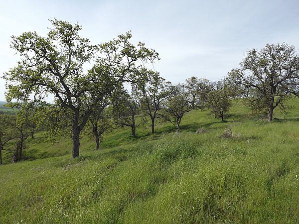 1st image of 1T-150 Valle Verde